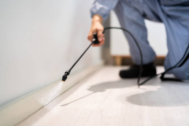 Licensed Pest Control service in Arcola, IL - Show Me Pest Control