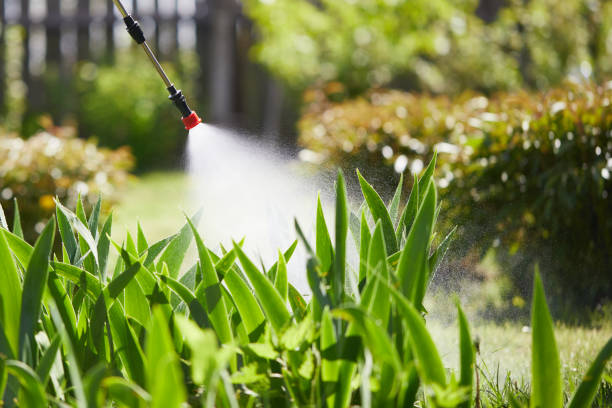 24/7 Emergency Mosquito Control experts in Arcola, IL